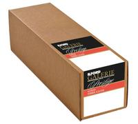 Ilford Papel de impresora GALERIE Prestige Oro Fibra Brillo 43,2 cm rollo de 12 m