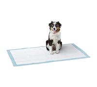 I'll Always Remember