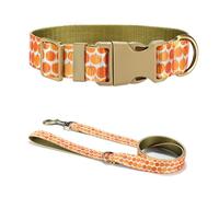 Illkjasfc Correa para perro con hermoso collar de calabaza 1 2 m de largo para entrenamiento fuerte, senderismo, natación, senderismo