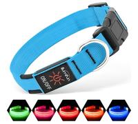 Illumifun Collar de perro con luz LED, recargable por USB, collar de seguridad ajustable de nailon brillante para tus perros que brilla en la oscuridad (azul, mediano)