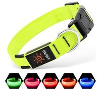 Illumifun Collar iluminado para perros, collar de perro LED recargable por USB, luces brillantes ajustables para pasear por la noche (verde, pequeño)