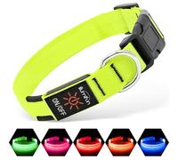 Illumifun Collar LED para Perro, Collar de Seguridad Brillante Recargable por USB, Collar de Nailon Ajustable Que Hace Que tu Perro Sea Visible y Seguro en la Oscuridad (Verde, Mediano)