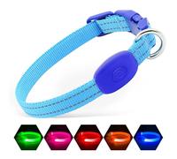 Illumifun Collar LED para perro pequeño, collar de seguridad recargable por USB, collar de seguridad ajustable de nailon para tus cachorros (azul, XS)