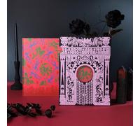 ILLUMINATED ED 11 Inferno (Sophy Hollington): An Illuminated Edition