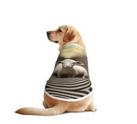 Illusionary Surrealist Art - Chaleco para perro, transpirable, refrescante, para perros grandes, protección solar, uso cómodo para Golden Retriever, Husky, Alaska, actividades al aire libre, XXL