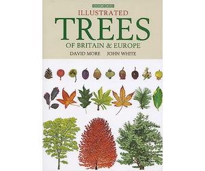 Illustrated Trees of Britain and Northern Europe