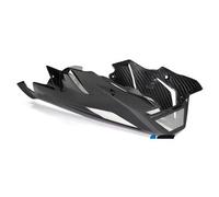 Ilmberger Pieza carbono BMW S1000 R desde 2014