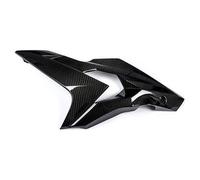 Ilmberger Pieza carbono BMW S1000 R desde 2014