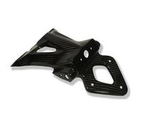 Ilmberger Pieza carbono BMW S1000 R desde 2014