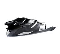 Ilmberger Pieza carbono BMW S1000 R desde 2014