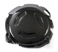 Ilmberger Pieza carbono BMW S1000 R desde 2014