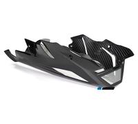 Ilmberger Pieza carbono BMW S1000 R desde 2014 ALERÓN MOTOR