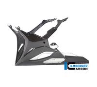 Ilmberger Pieza carbono BMW S1000 RR desde 2019