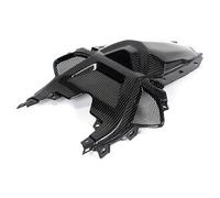 Ilmberger Pieza carbono BMW S1000 RR desde 2019