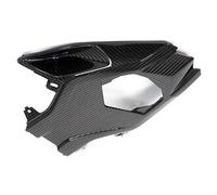 Ilmberger Pieza carbono BMW S1000 RR desde 2019