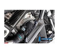 Ilmberger Pieza carbono BMW S1000 RR desde 2019
