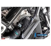 Ilmberger Pieza carbono BMW S1000 RR desde 2019 CUBIERTA CARB BOMBA AGUA