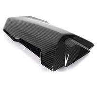 Ilmberger Pieza carbono BMW S1000 RR desde 2019 CUBIERTA PASAJERO CARBONO