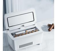 ILOOXI Estuche De Viaje Caja Enfriadora De Insulina, Refrigerador De Insulina para Viaje, Portátil Mini Nevera De Viaje para Insulina Médica, 0-18 ℃, con Cargador USB (Color : Plug in)