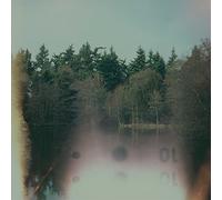 Iluiteq - The Loss Of Wilderness [Vinilo]