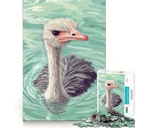 Ilustración de Avestruz Nadando en el Agua Rompecabezas de 1000 Piezas para Adultos Regalos Juego de ingenio Ocio Diversión Calidad Precioso Regalo (38x26cm)