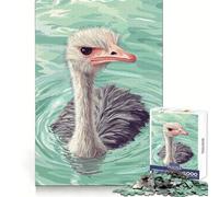 Ilustración de Avestruz Nadando en el Agua Rompecabezas de 1000 Piezas para Adultos Regalos Juego de ingenio Ocio Diversión Calidad Precioso Regalo (38x26cm)