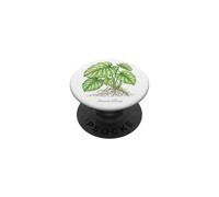 Ilustración de la Planta de Monstera Deliciosa PopSockets PopGrip Adhesivo