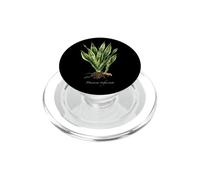 Ilustración de Planta de Serpiente Dracaena trifasciata PopSockets PopGrip para MagSafe