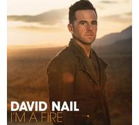 I'm A Fire by David Nail (2014-08-03)