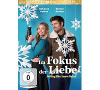 Im Fokus der Liebe - Falling Like Snowflakes [DVD]
