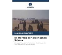 Im Herzen der algerischen Sahara: Geologische und petrophysikalische Modellierung des TAGI-Reservoirs im Berkine-Becken