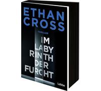 Im Labyrinth der Furcht: Thriller. Ein neuer Francis-Ackerman-jr-Thriller vom Bestseller-Autor: 2