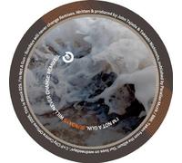 I'M Not A Gun - Sundays Will Never Change [Vinilo]