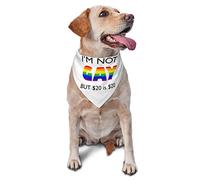 I'm Not Gay But 20 is 20 Spring Dog Bandanas Boy Bulk Puppy Pañuelo Ajustable Triángulo Suave Baberos Accesorios para Perros Pequeños Medianos Grandes Gatos Blanco