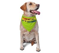 I'm Not Gay But My Butthole is Spring Dog Bandanas Boy Bulk Puppy Pañuelo Ajustable Suave Triángulo Baberos Accesorios para Perros Pequeños Medianos Grandes Gatos Blanco