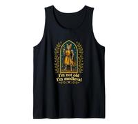 I'm Not Old I'm Medieval Cat Knight Funny Fantasy Medieval Camiseta sin Mangas