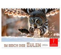 Im Reich der Eulen (Tischkalender 2026 DIN A5 quer), CALVENDO Monatskalender: Eine Hommage an die schönen lautlosen Jäger der Nacht.