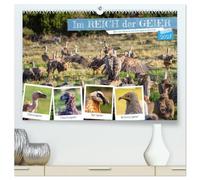 Im REICH der GEIER - Die 4 Geierarten Europas im Portrait (hochwertiger Premium Wandkalender 2027 DIN A2 quer), Kunstdruck in Hochglanz: Europas 4 Giganten im Porträt