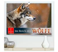 Im Reich der Wölfe (hochwertiger Premium Wandkalender 2026 DIN A2 quer), Kunstdruck in Hochglanz: Majestätische Jäger - hautnah erleben.