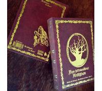 Im Schatten der Hexen VI: Das versunkene Heiligtum - Schmuckedition Bd. 6 - Ein mystischer Harz-Thriller