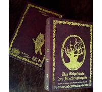 Im Schatten der Hexen VIII: Das Geheimnis des Drachentempels - Schmuckedition Bd. 8 - Ein mystischer Harz-Krimi