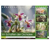 Im Schatten der Orchidee (Tischkalender 2026 DIN A5 quer), CALVENDO Monatskalender: Versteckt in den stillen Winkeln tropischer Wälder und ... Orchidee, zart und zugleich voller Rätsel.