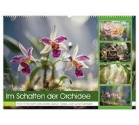 Im Schatten der Orchidee (Wandkalender 2026 DIN A2 quer), CALVENDO Monatskalender: Versteckt in den stillen Winkeln tropischer Wälder und ... Orchidee, zart und zugleich voller Rätsel.