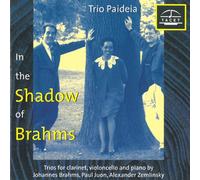 Im Schatten Von Brahms 1