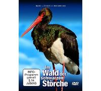 Im Wald der schwarzen Störche - Der Schwarzstorch zurück in deutschen Wäldern [Alemania] [DVD]