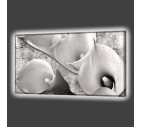 IMAGEN BRILLANTE CUATRO CALINT GL6750 PINTDECOR