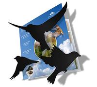 imaggge.com Pegatinas Anticolisión para Pájaros - Alta resistencia a la Lluvia, Gel, UV's - Set de 20 siluetas de pájaro - Color Negro