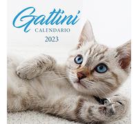 "Imagicom" Calendario 2023 de pared Gatitos, ideal para oficina y hogar, 12 meses, 30 x 30 cm + póster de regalo incluido., multicolor, 1