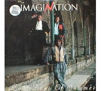 Imagination - Last days of summer (1985) [Vinyl Single]