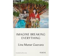 Imagine Breaking Everything